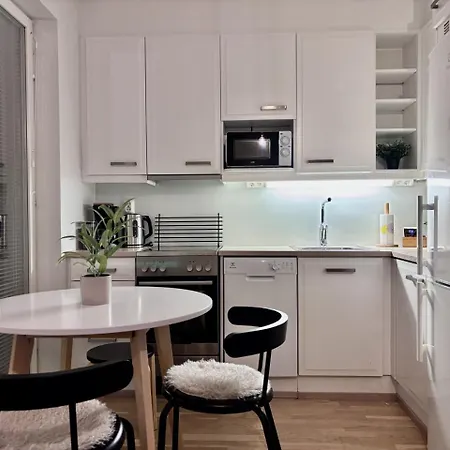 Borg Itsenäisyydenkatu, Large Studio Apt
