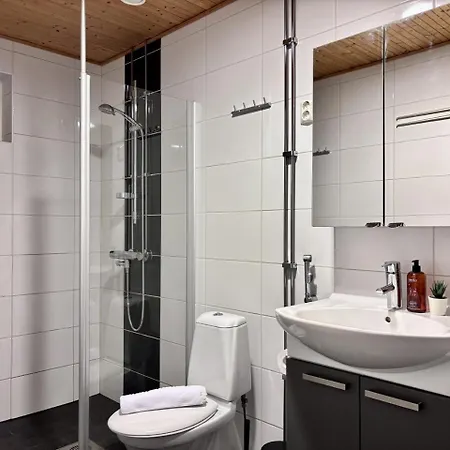 Borg Itsenaeisyydenkatu, Large Björneborg