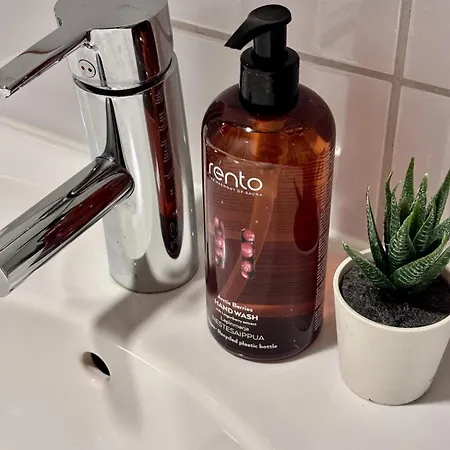 Borg Itsenaeisyydenkatu, Large Апартаменты