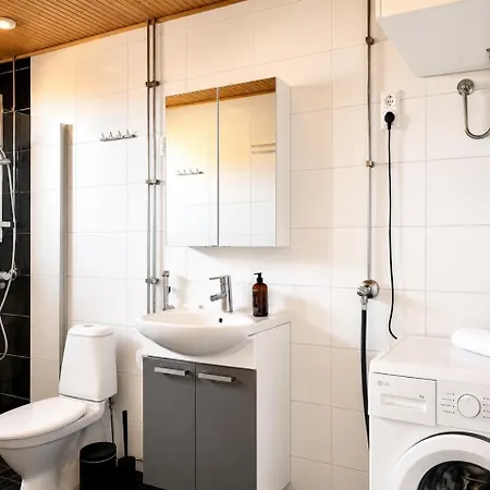 Huoneisto Borg Itsenäisyydenkatu, Large Studio Apt